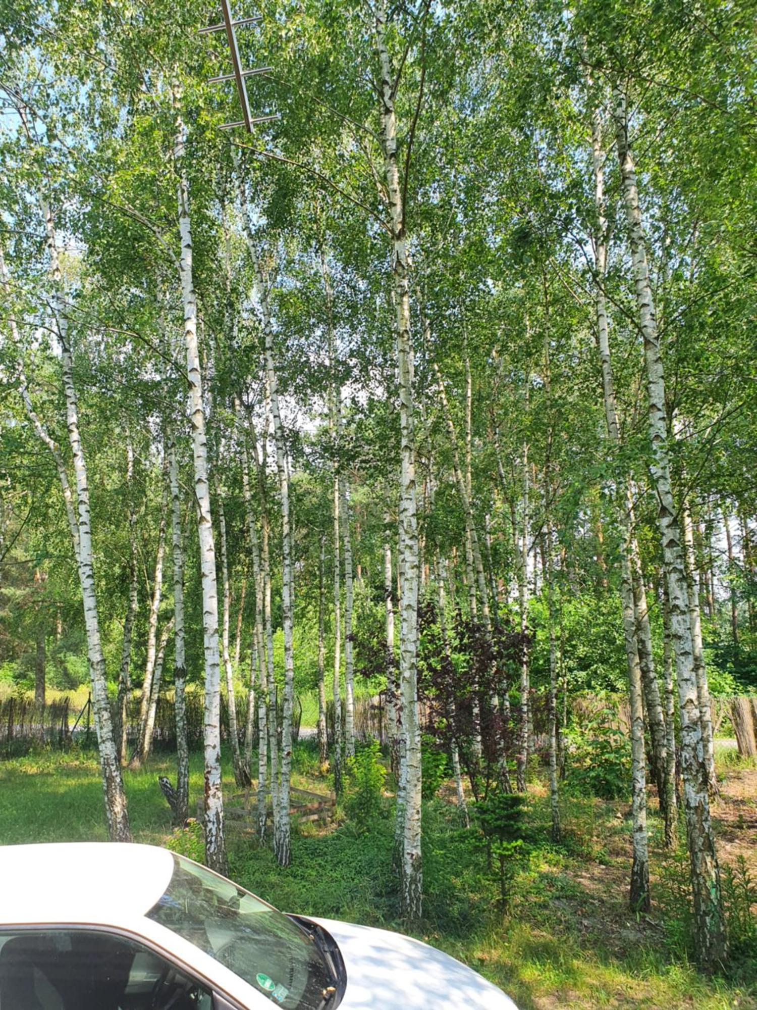 Domek Letniskowy Treby Stare Exterior foto